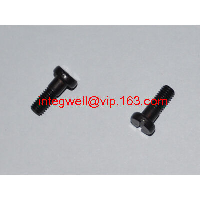 Vite speciale/vite maniglia